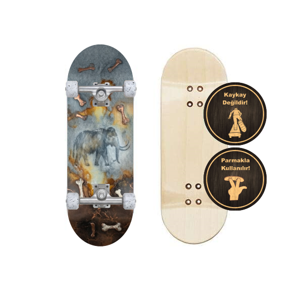 fingerboard hazır set PRS320069