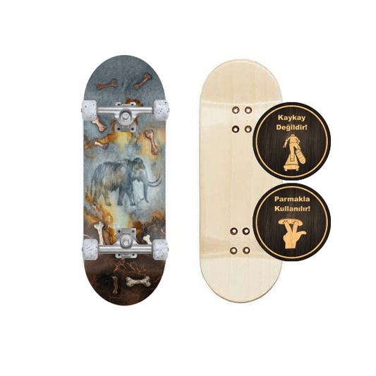 fingerboard hazır set PRS320069