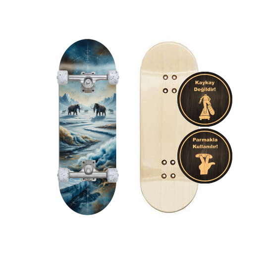 fingerboard hazır set PRS320070